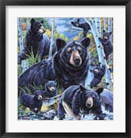 Framed Bears in the Birches