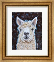 Framed Alpaca