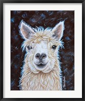 Framed Alpaca