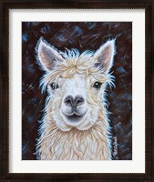 Framed Alpaca