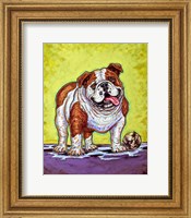 Framed Bulldog and Baseball