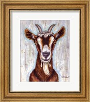 Framed Old Goat