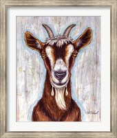 Framed Old Goat