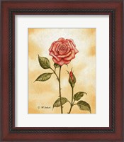 Framed Rose on Peach