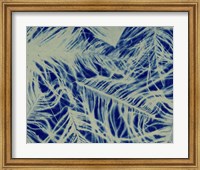 Framed Textures in Blue IV