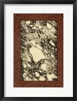 Framed Marble Varieties V