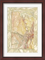 Framed Marble Varieties VIII