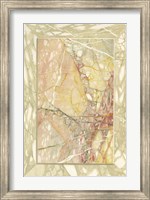 Framed Marble Varieties VIII