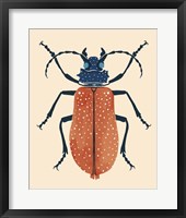 Framed Beetle Bug III