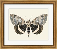 Framed Neutral Moth I