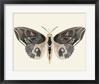 Framed Neutral Moth II