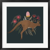 Framed Australian Animals III