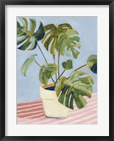 Plant on Pink II Framed Print