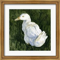 Framed Lone Duck II