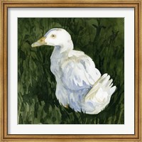 Framed Lone Duck II