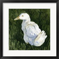Lone Duck II Framed Print