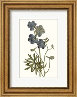 Framed Soft Blue Botanicals V