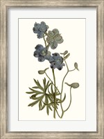Framed Soft Blue Botanicals V