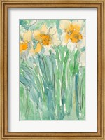 Framed Daffodils Stems I