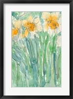 Framed Daffodils Stems I