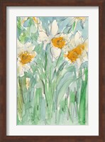 Framed Daffodils Stems II