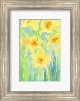 Framed Daffodils I