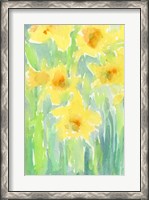 Framed Daffodils I