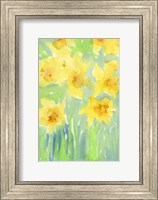 Framed Daffodils II