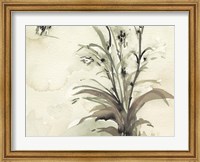 Framed Plant of the Age I