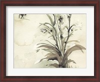 Framed Plant of the Age I