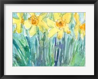 Framed Daffodil Blooms I