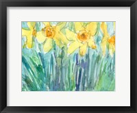 Framed Daffodil Blooms I