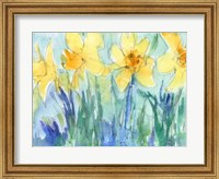 Framed Daffodil Blooms II