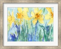 Framed Daffodil Blooms II