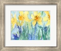 Framed Daffodil Blooms II