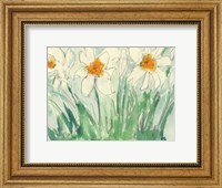 Framed Daffodils Orange and White I