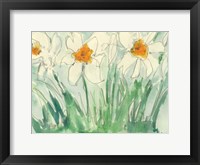 Framed Daffodils Orange and White I