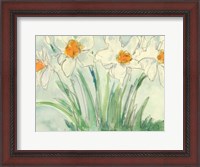 Framed Daffodils Orange and White II