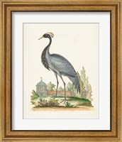 Framed 'Antique Heron & Cranes II' border=