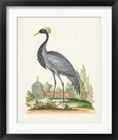 Framed 'Antique Heron & Cranes II' border=