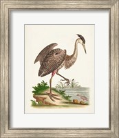 Framed 'Antique Heron & Cranes III' border=