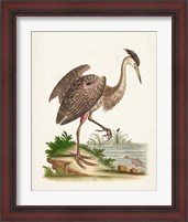 Framed 'Antique Heron & Cranes III' border=