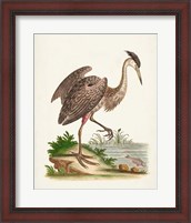 Framed Antique Heron & Cranes III