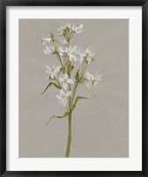 Framed White Field Flowers I