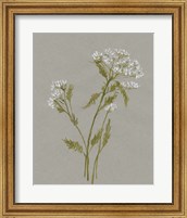 Framed White Field Flowers III