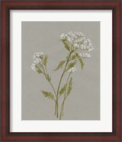 Framed 'White Field Flowers III' border=