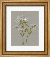 Framed White Field Flowers IV
