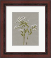 Framed 'White Field Flowers IV' border=