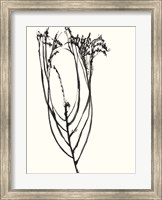 Framed Naive Flower Sketch I