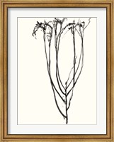 Framed Naive Flower Sketch II